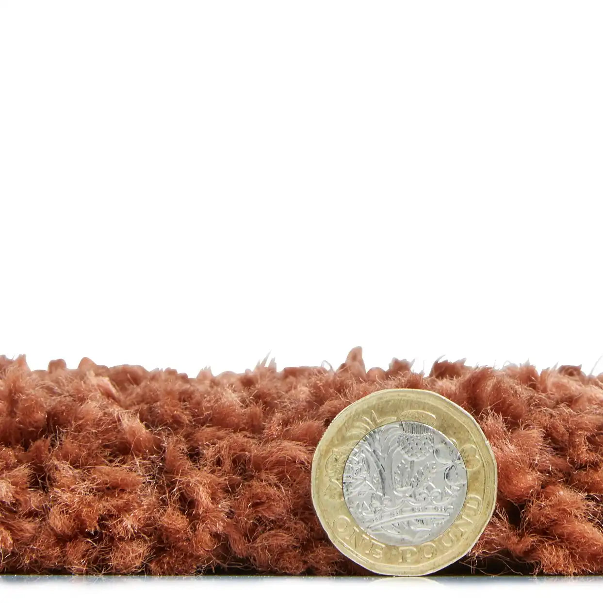 Royal Nomadic 7611 Beige Rust Rug RS