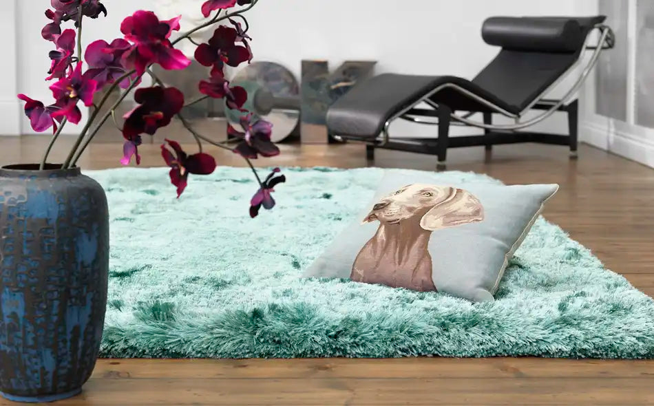 Asiatic plush plush ocean Blue, Green Living Room Shaggy Rug.