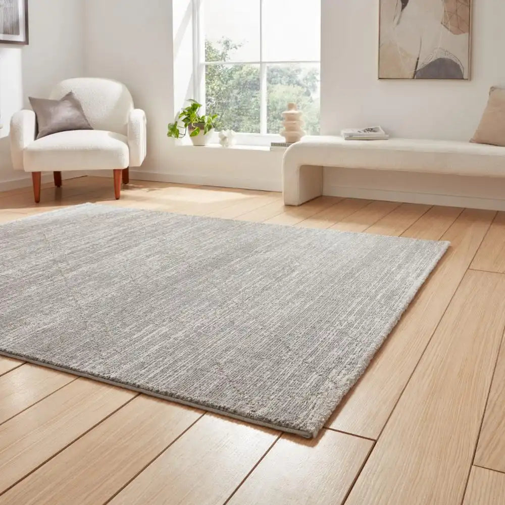 Geneva Think 62321 Grey Rug RS