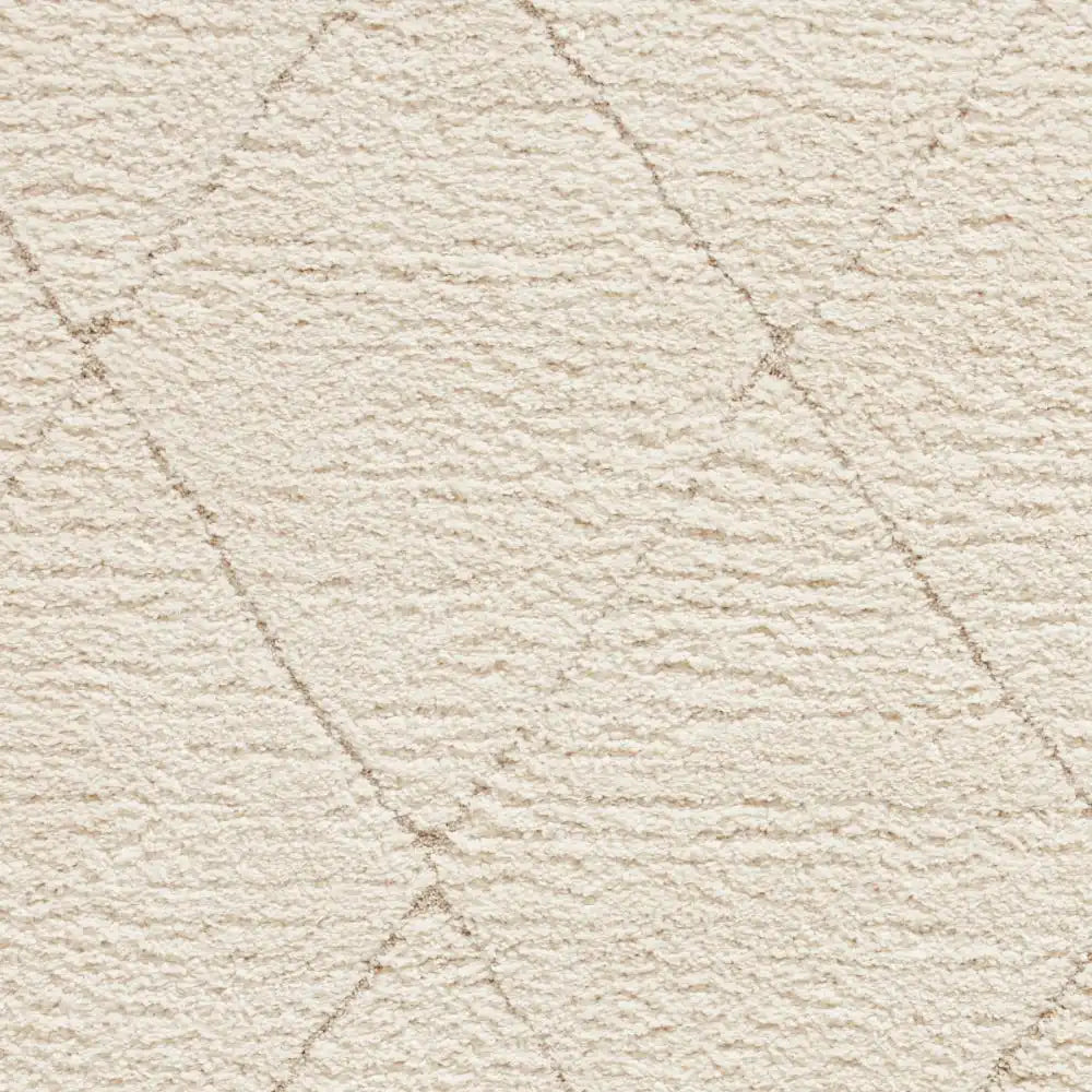 Ideal Shaggy 80260 Cream Rug RS
