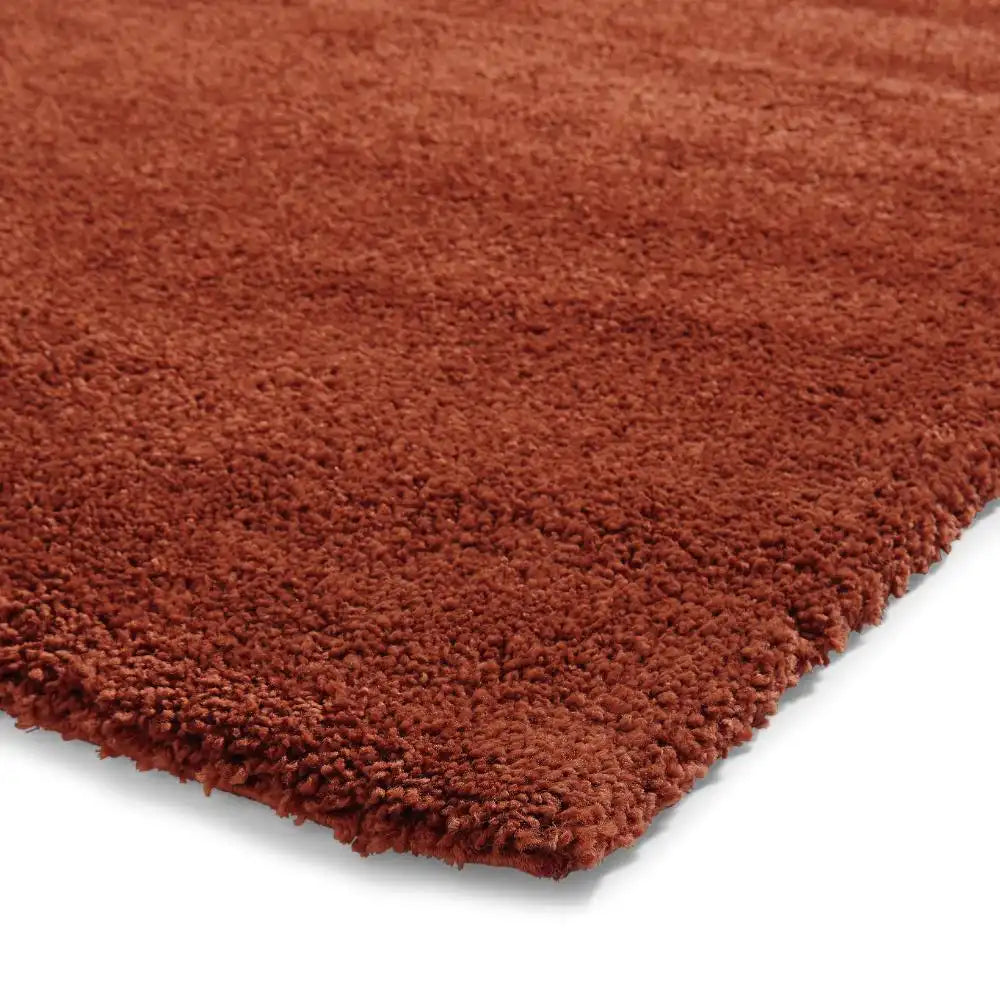 Sierra 9000 Terracotta Rug RS