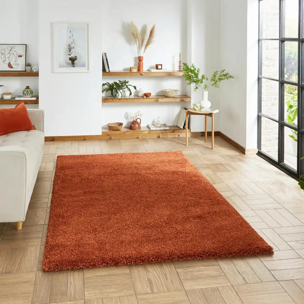 Sierra 9000 Terracotta Rug RS