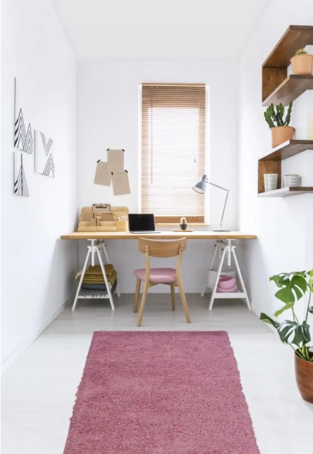 Jazz Shaggy BLUSH PINK Rug RS