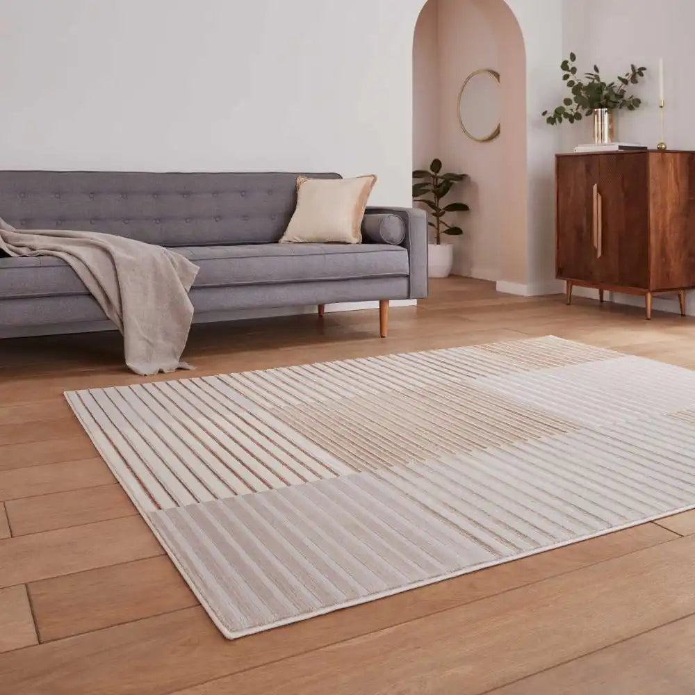 Apollo Think E2681 Bronze Grey Rug RS