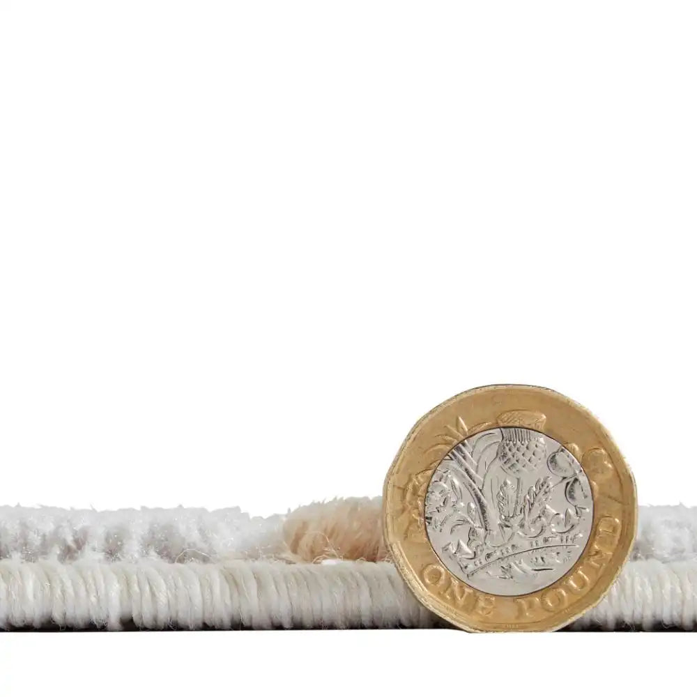 Apollo Think E2681 Bronze Grey Rug RS