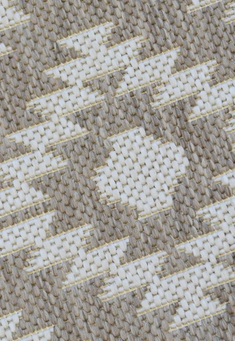 County Indoor Outdoor Genesis NATURAL Rug RS
