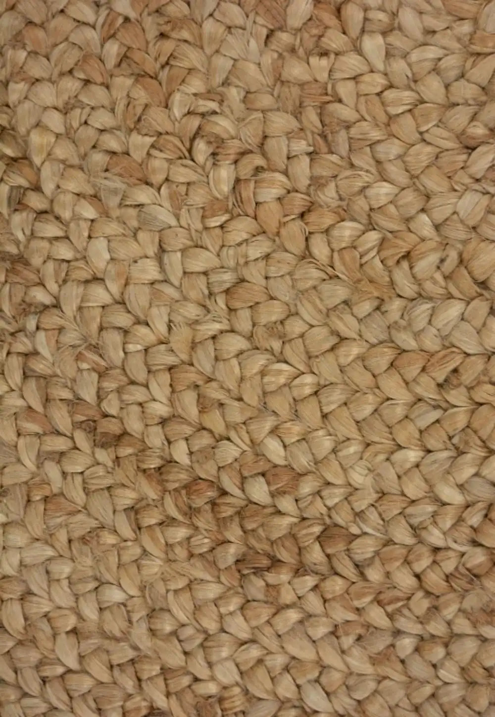 Indian Jute Natural Rug RS