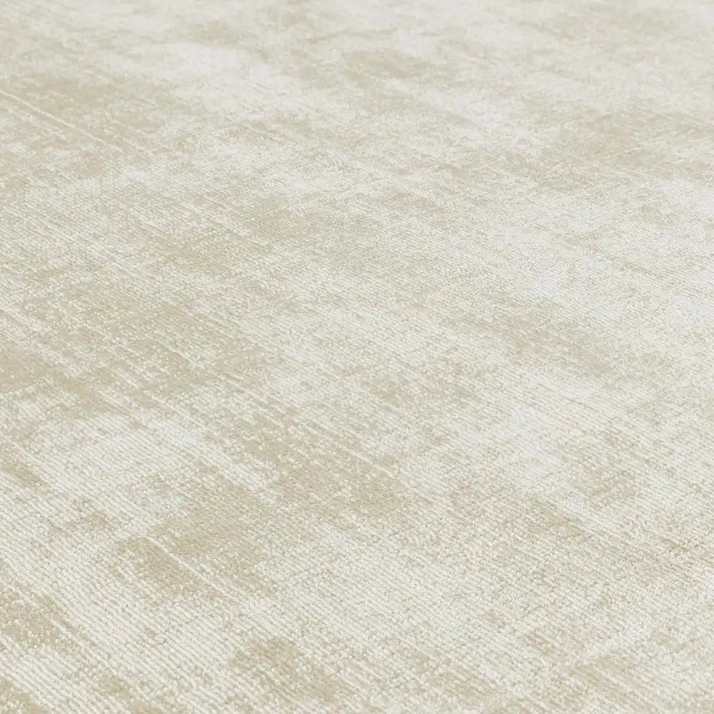 Asiatic blade border putty silver 07 Grey, Ivory Living Room  Rug.